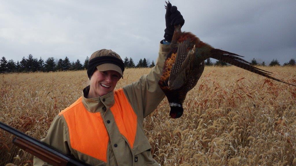 Featured image for “Life And Times Of Michigan’s Wild Pheasant”