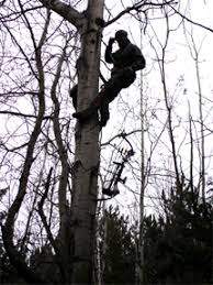 Featured image for “Treestands: Pros & Cons of Climbing Systems”