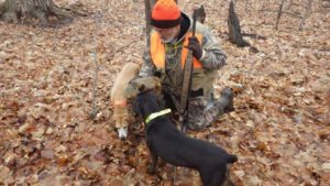 Mountain cur squirrel hot sale dog for sale