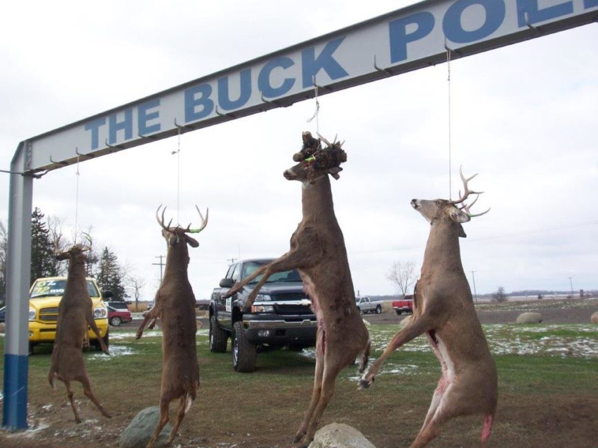 The Colorful History Of Michigan Deer Hunting