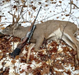 Tracking Deer Before and After Snow