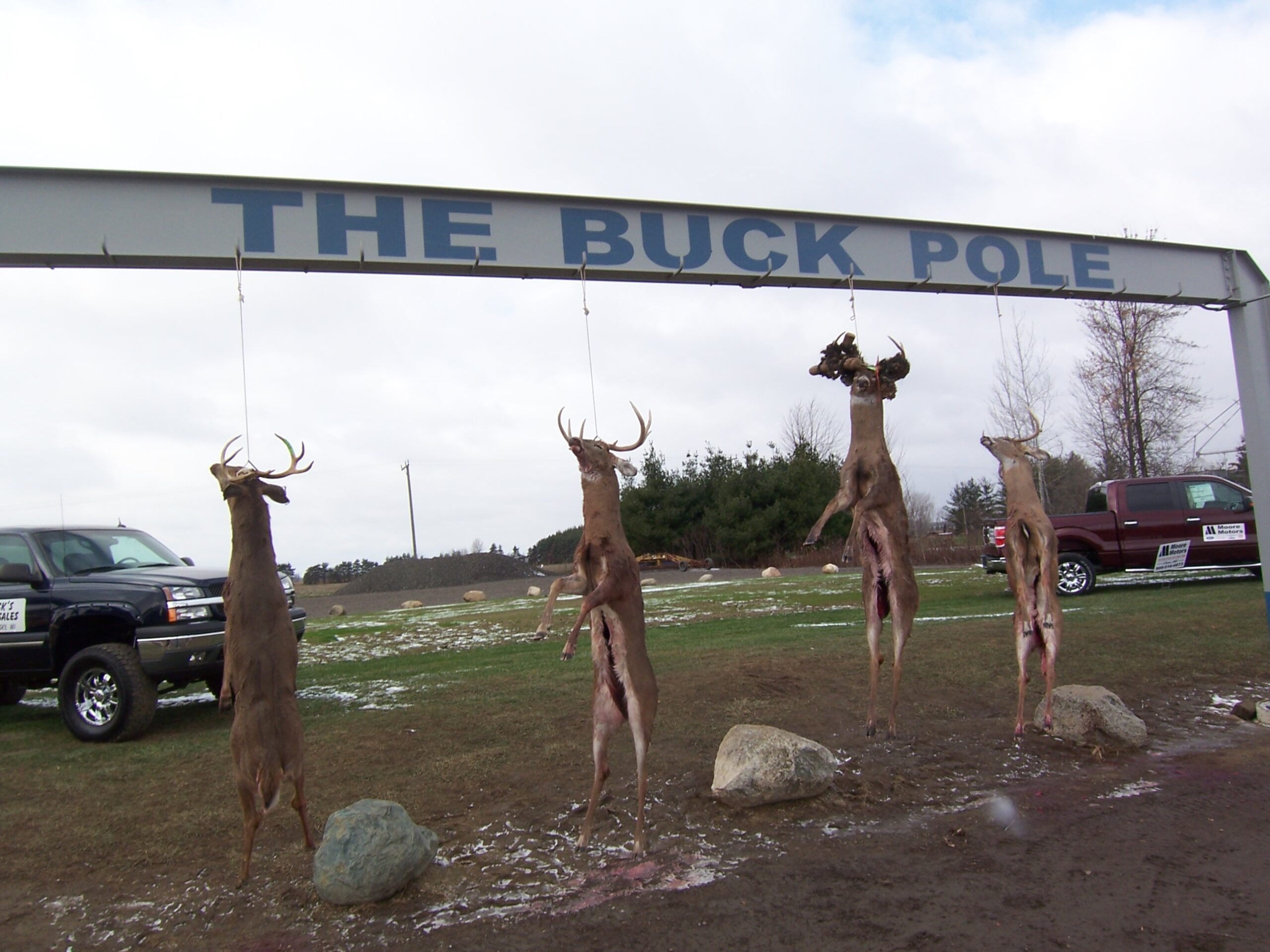 Featured image for “The History Of Deer Hunting In Michigan”