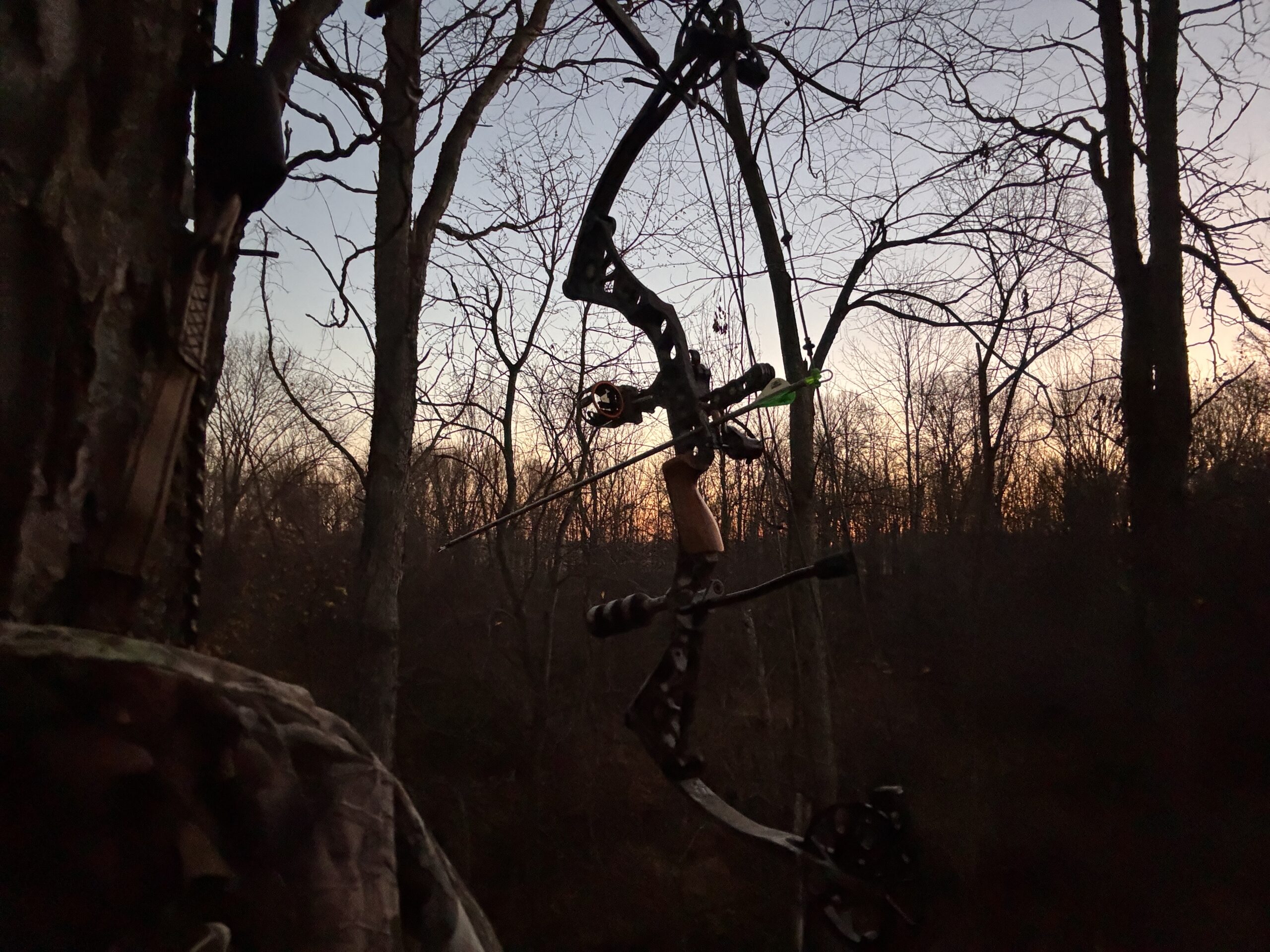 Featured image for “An Unforgettable Archery Season”