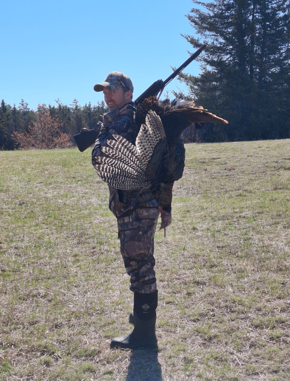 Featured image for “When Turkeys Go Silent”