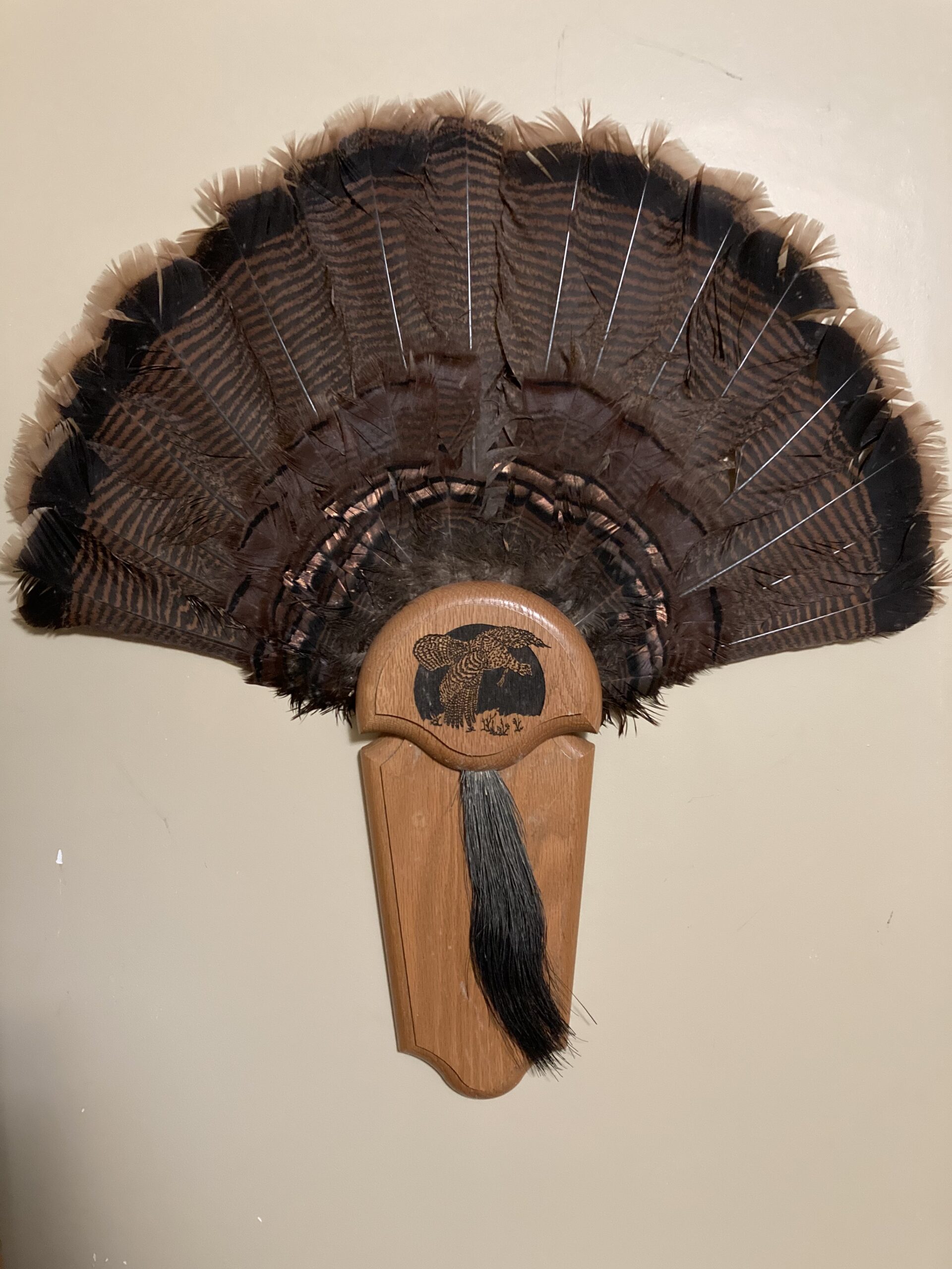 Featured image for “Uncle Bob’s Memorial Turkey”