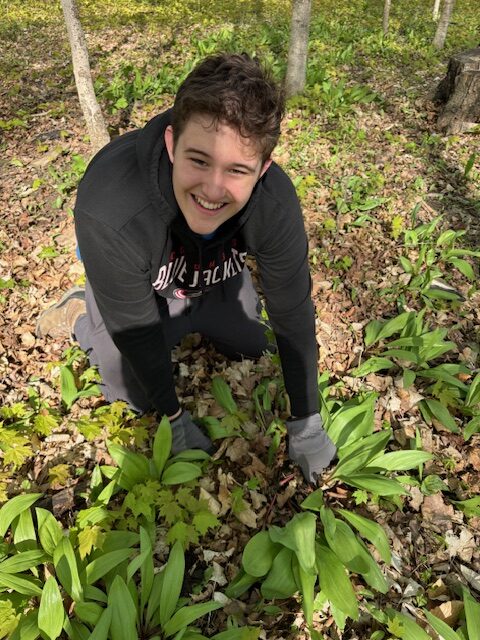 Featured image for “Foraging is a great and popular outdoor pastime”