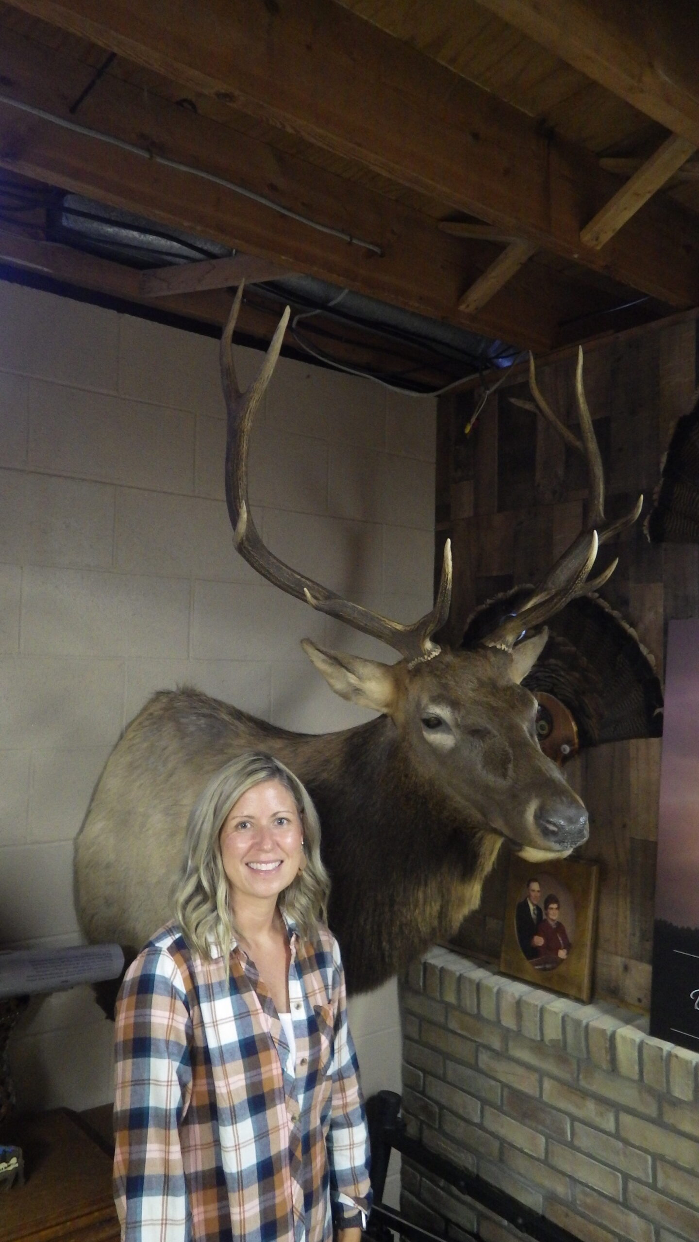Featured image for “A lucky lady and her dandy Michigan bull elk”