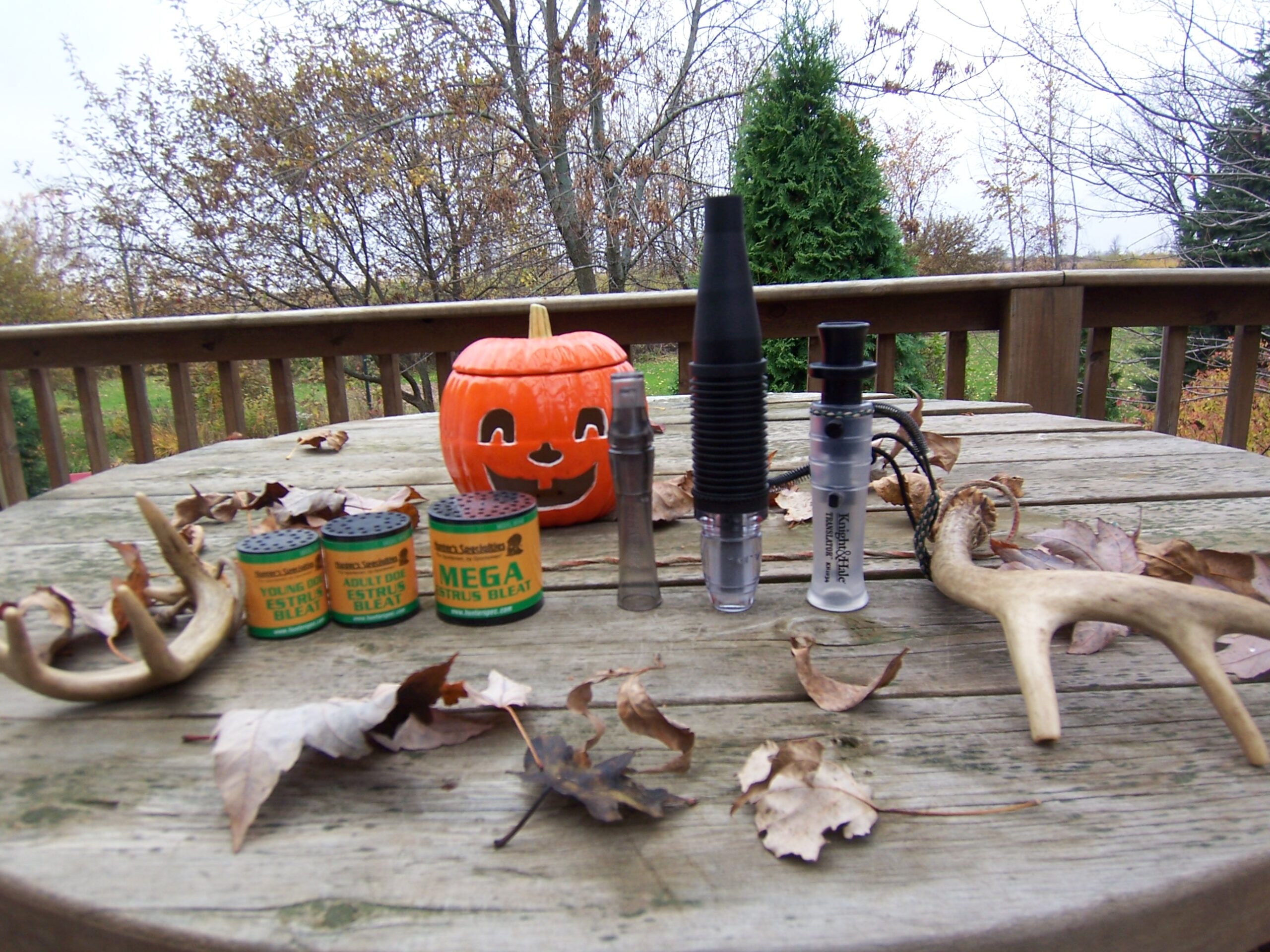 Featured image for “Rutting whitetails and jack-o-lanterns are a timeframe which goes hand in hand”