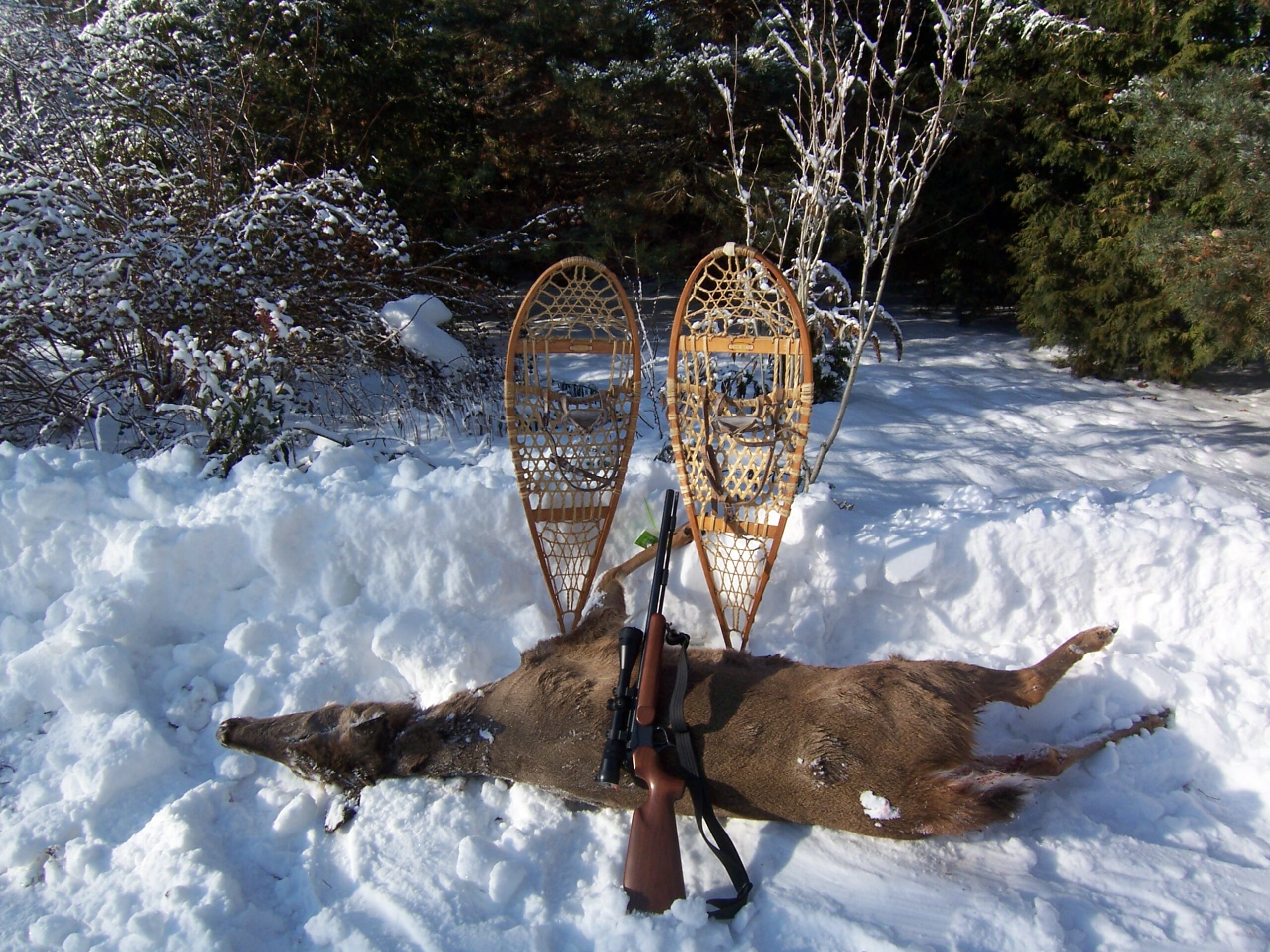 Featured image for “Fickle weather during December deer hunting adventures”