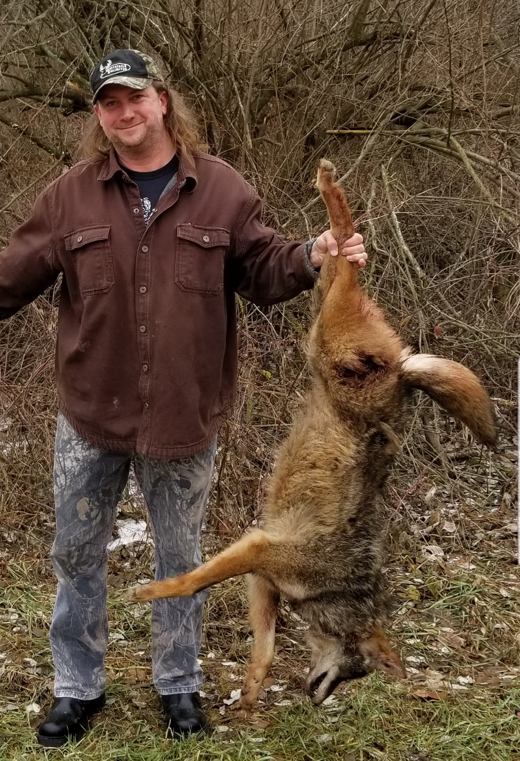 Featured image for “Predator Hunting At Night”