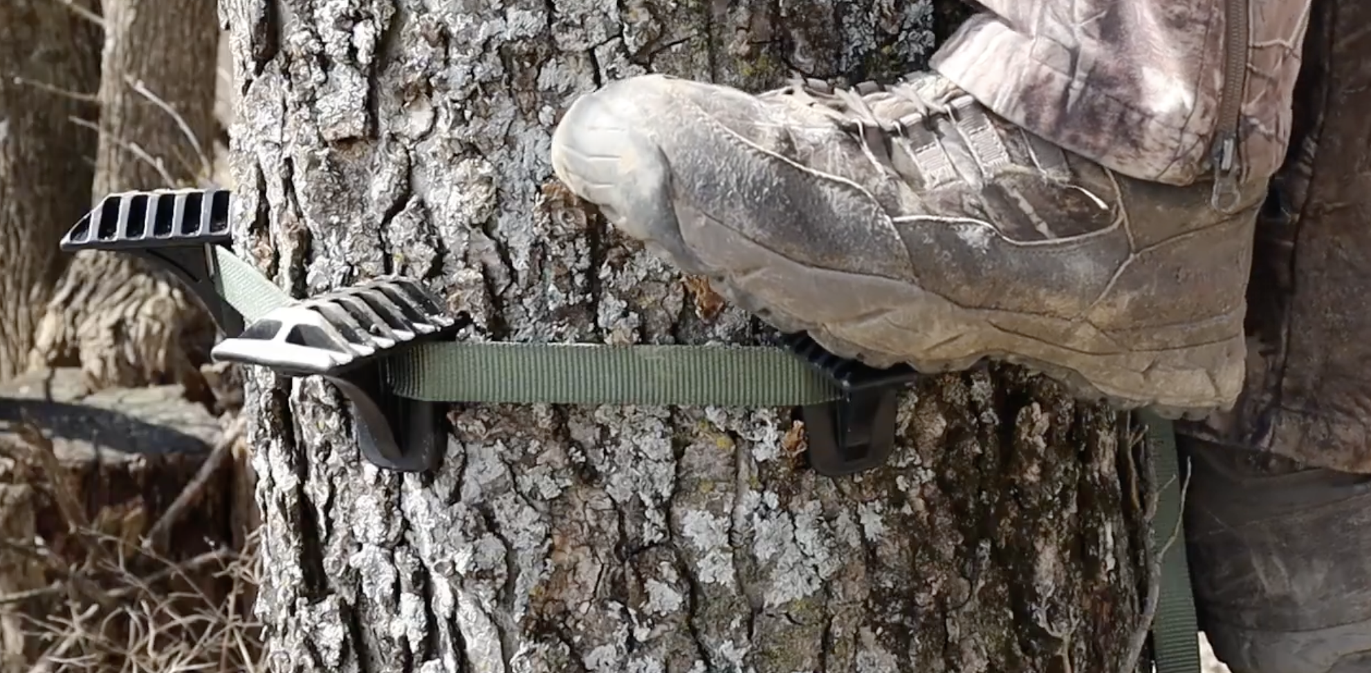 Featured image for “My First Year In The Tree Saddle”