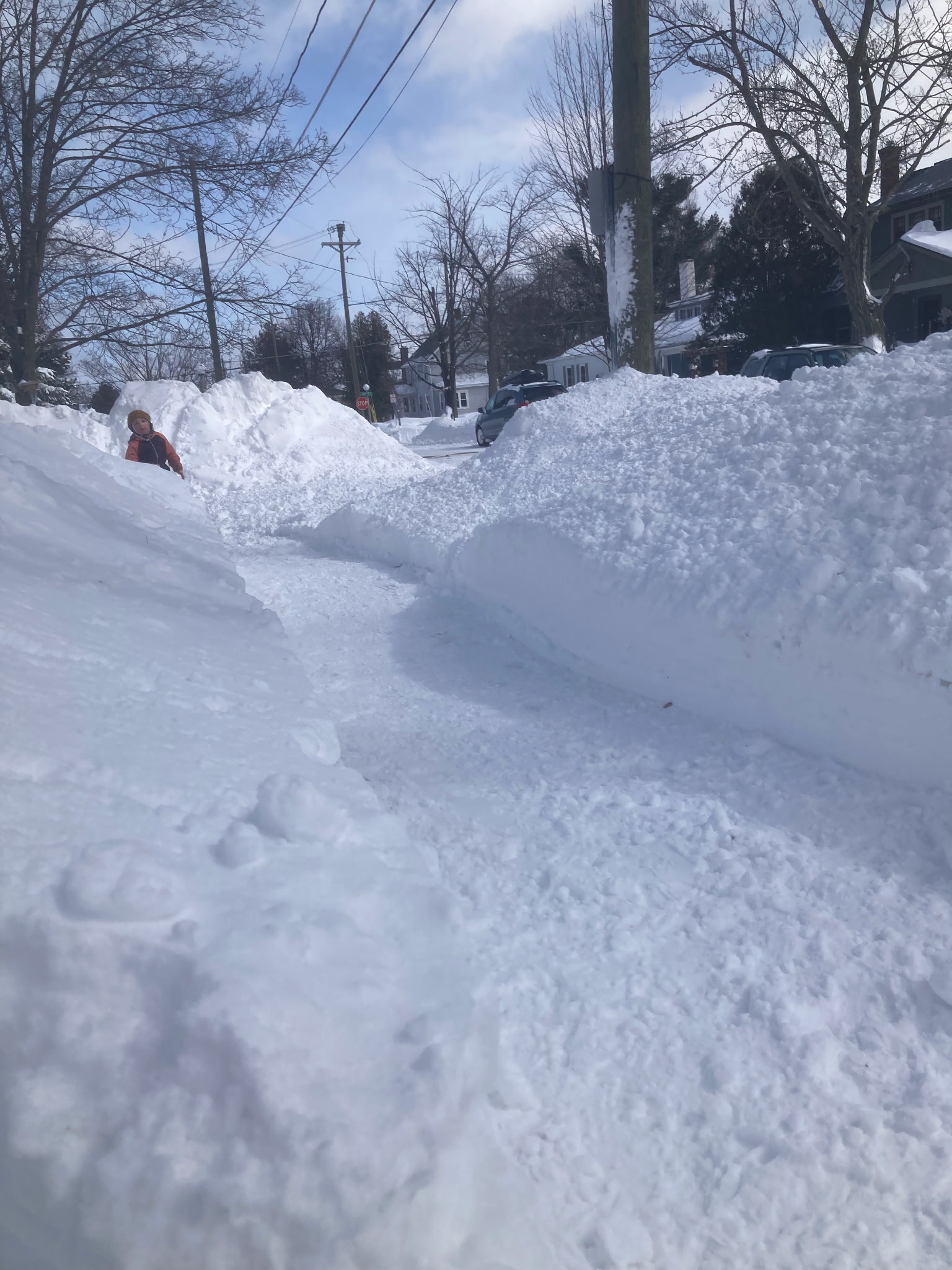 Featured image for “THE LONG WINTER AND NATURE’S CONSEQUENCES”