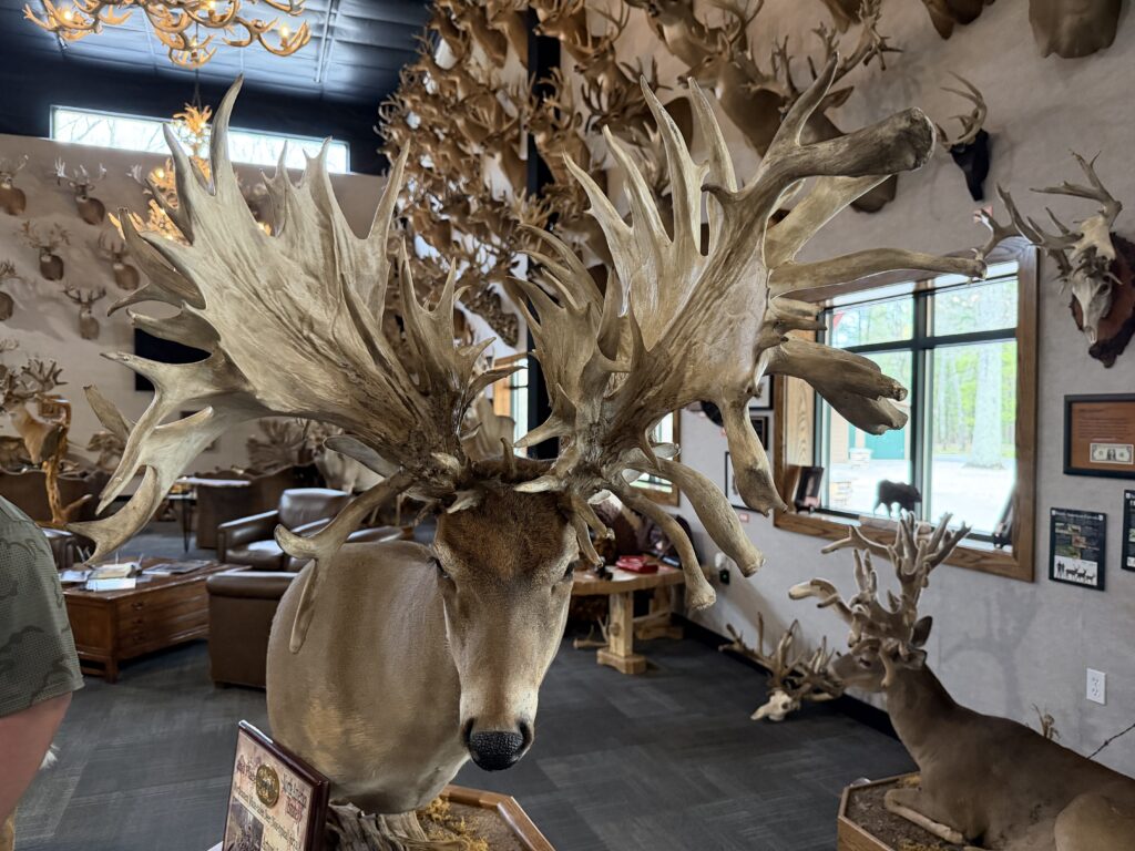 The Legends Ranch dedicated to passing on promoting wildlife conservation